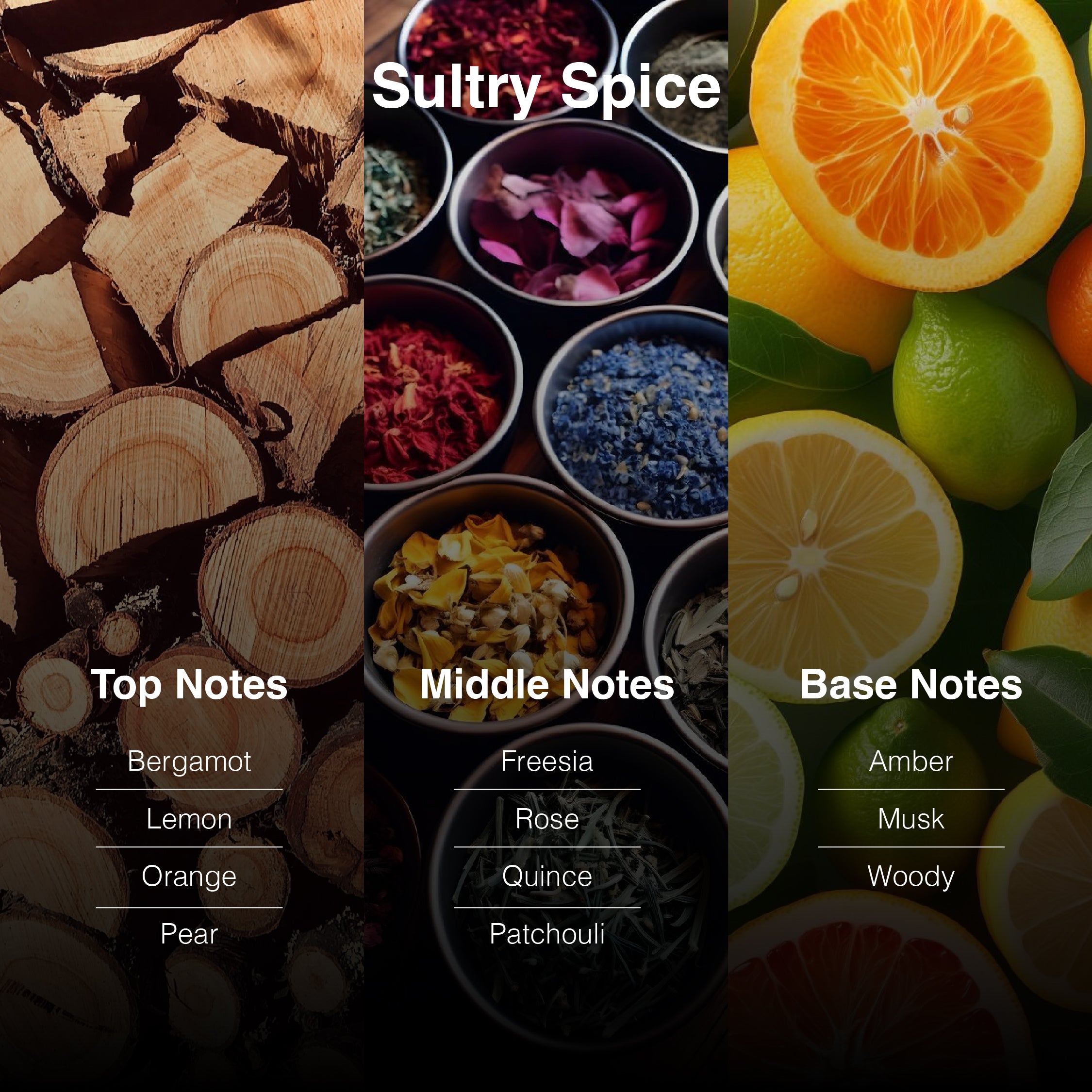 Sultry Spice – Alchemist Collection | 100ml