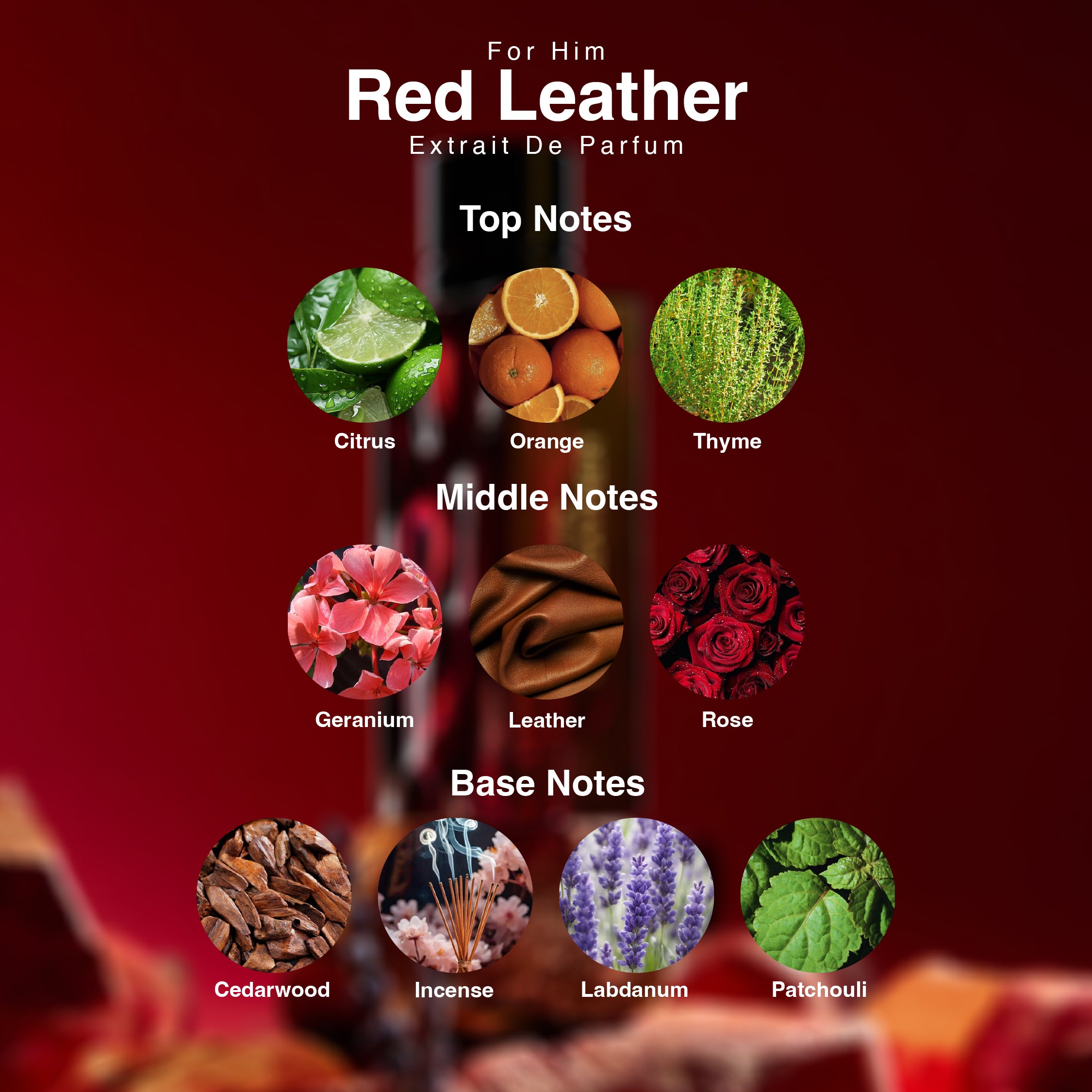 Red Leather – For Him Collection | 100ml