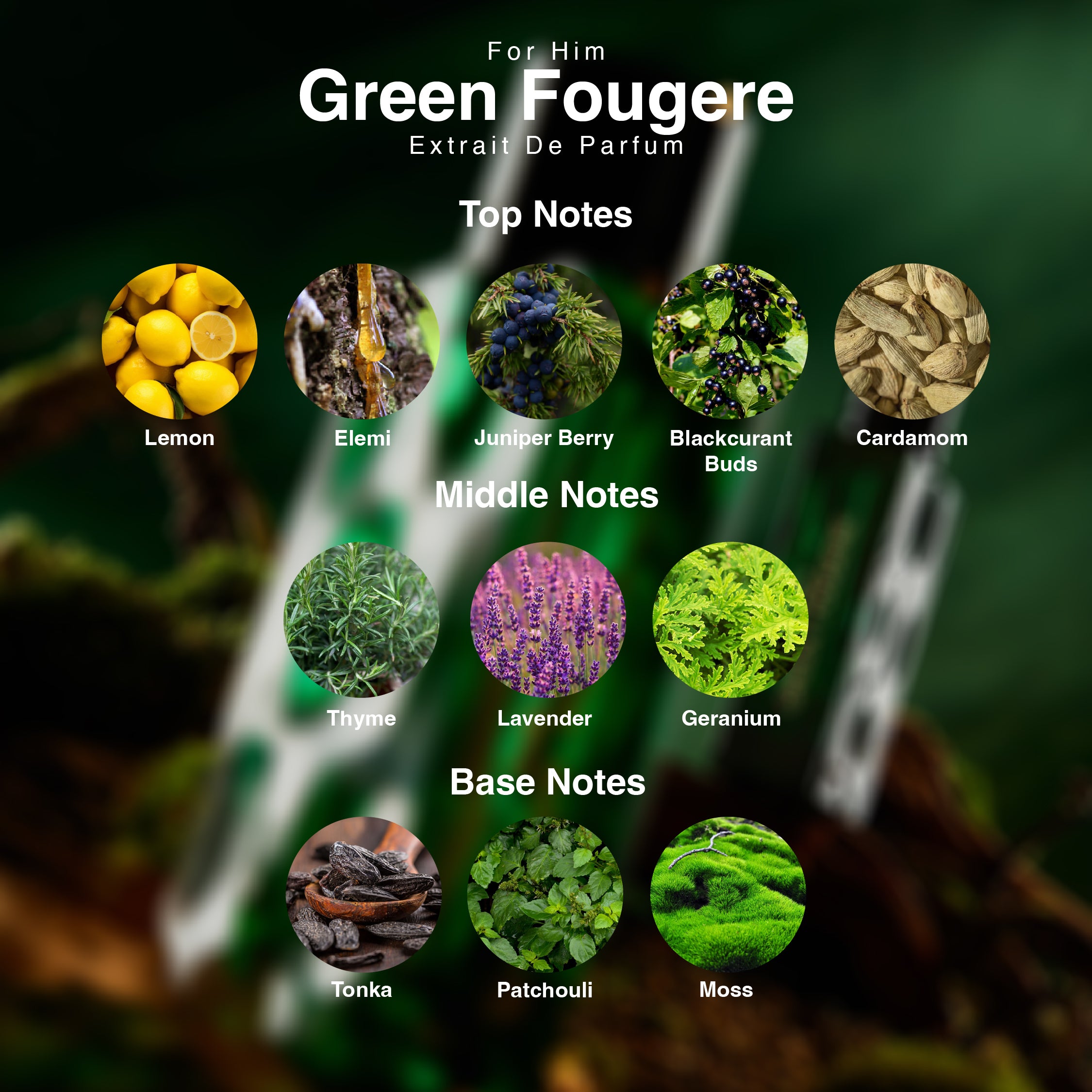 Green Fougere – For Him Collection | 100ml